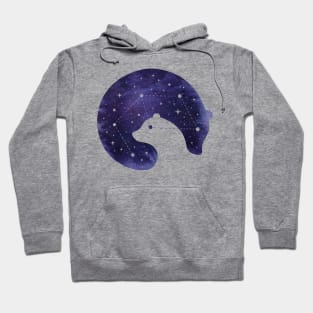 Stellar Love Hoodie